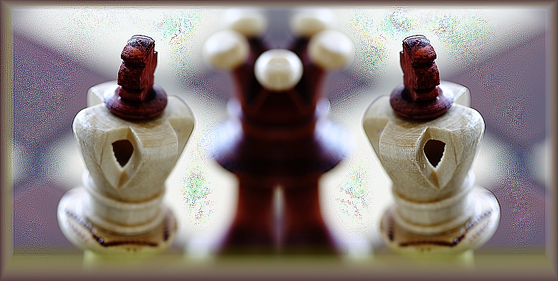 maia šachy 1 2016