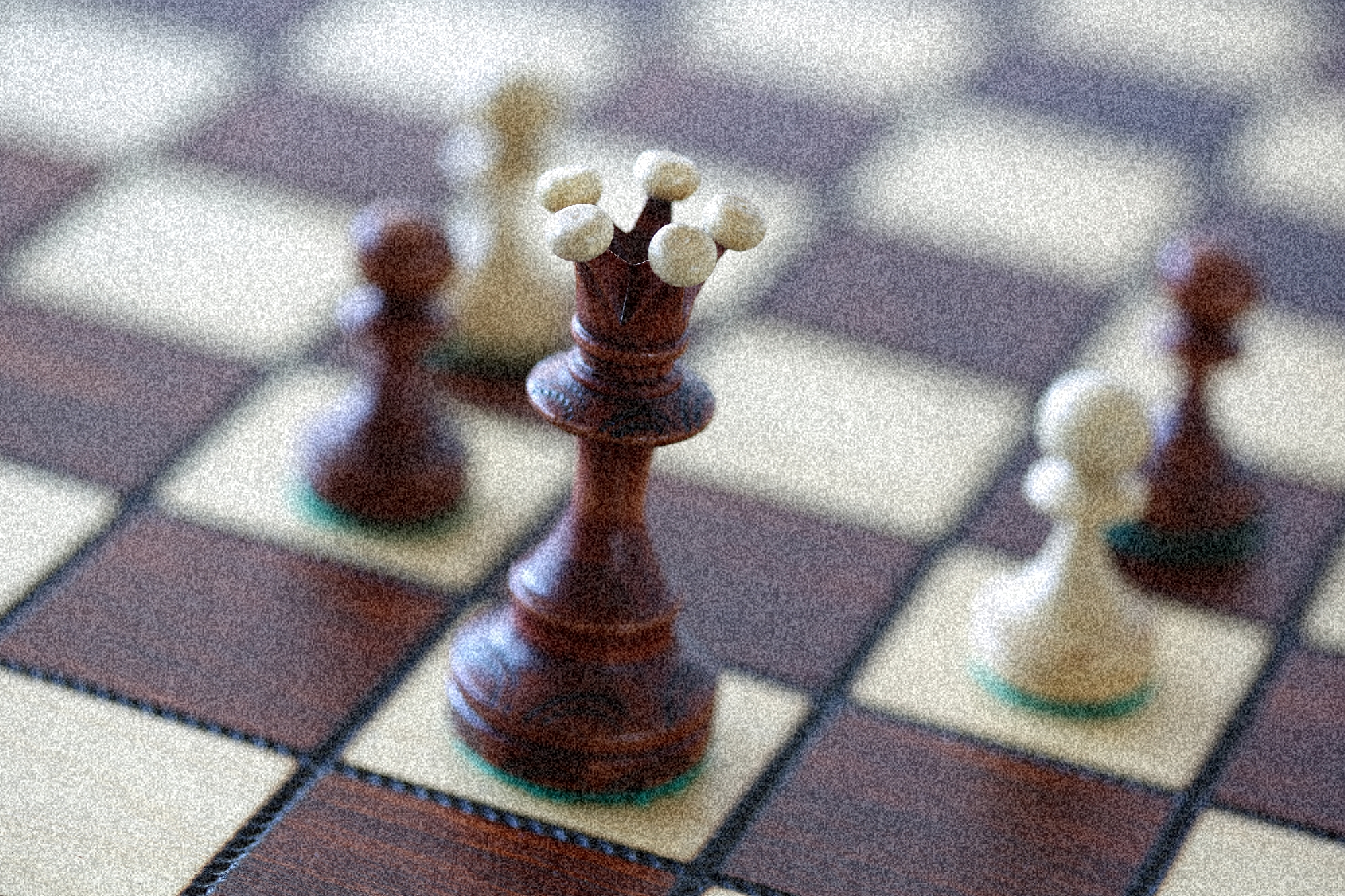 anna s šachy 1