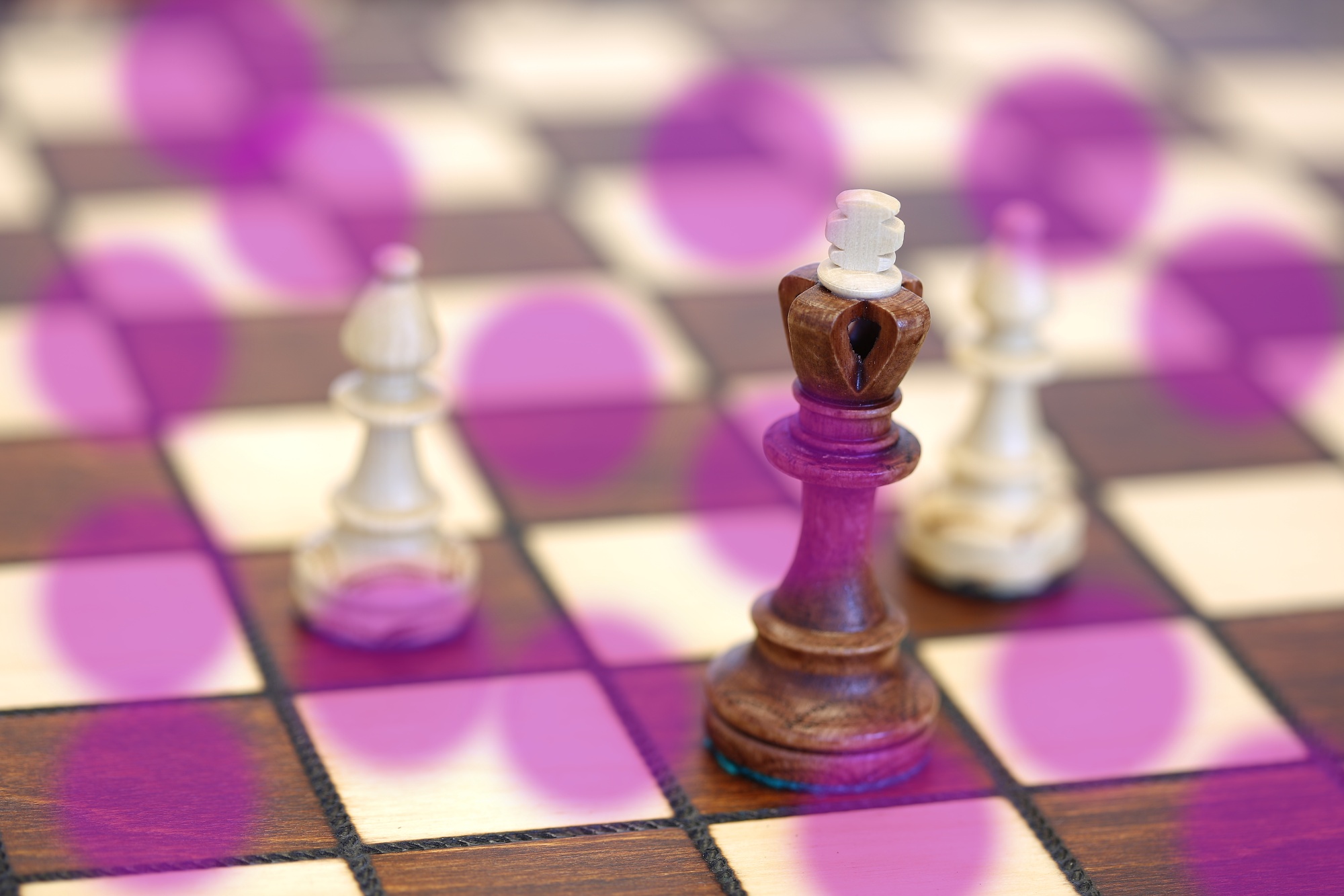 roza šachy 14