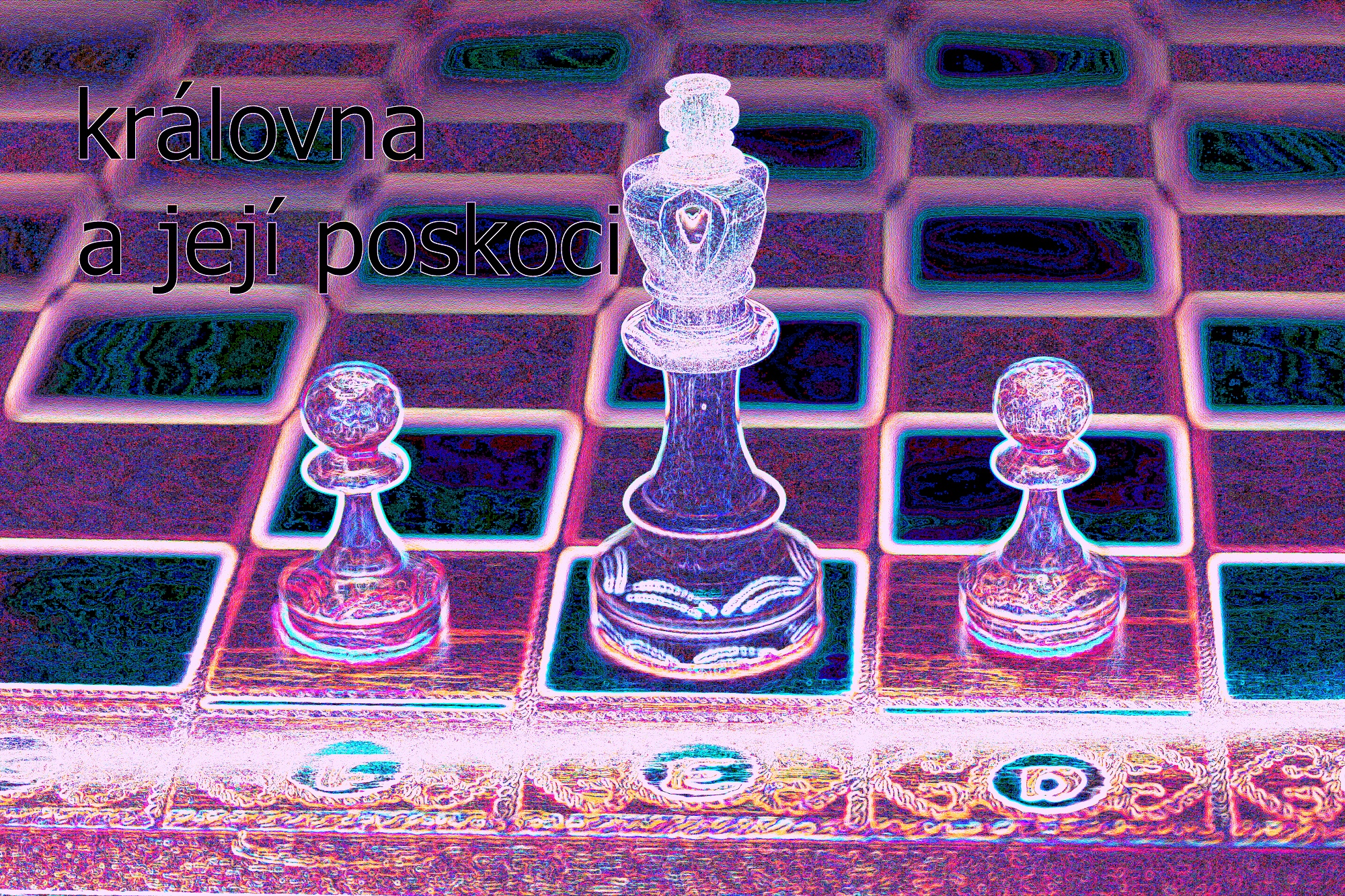 roza šachy 23