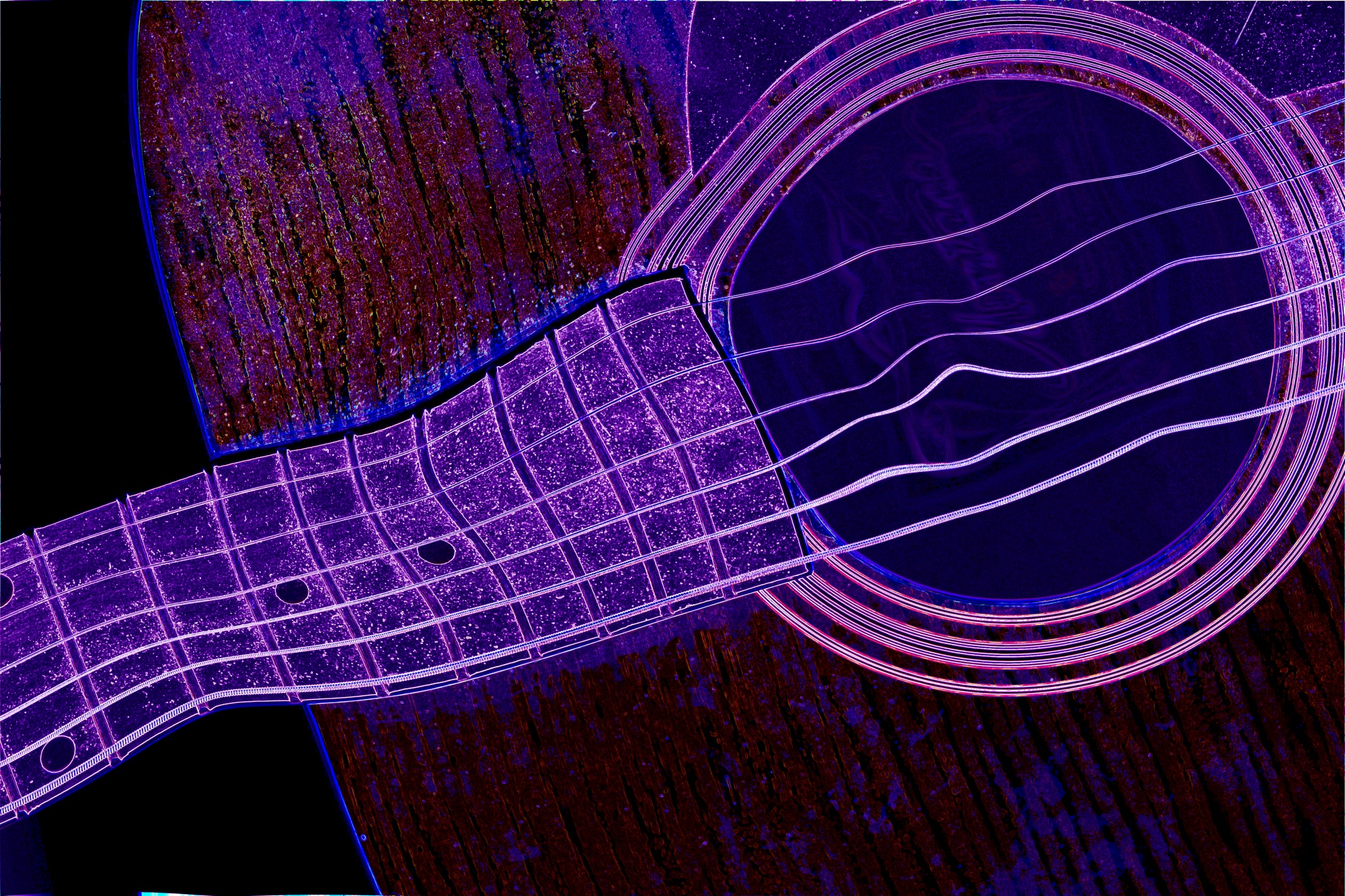 roza kytara 2
