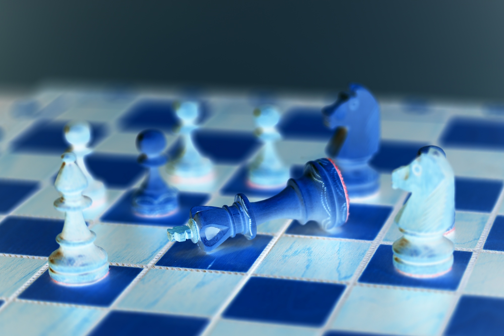 julia šachy 2