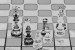 Martin Flowarczny- šachy10