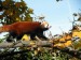 Panda na slunicku_Josef_B. 5B