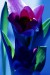 adelka m tulipan 7