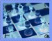 Bára šachy 6