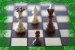 Mojmir A.šachy 25