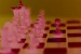 roza šachy 91